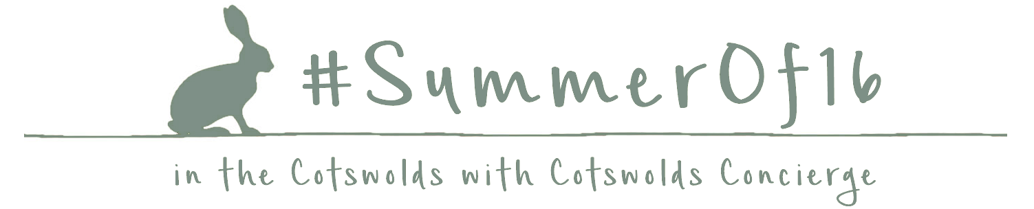 summer-of-16-banner-1