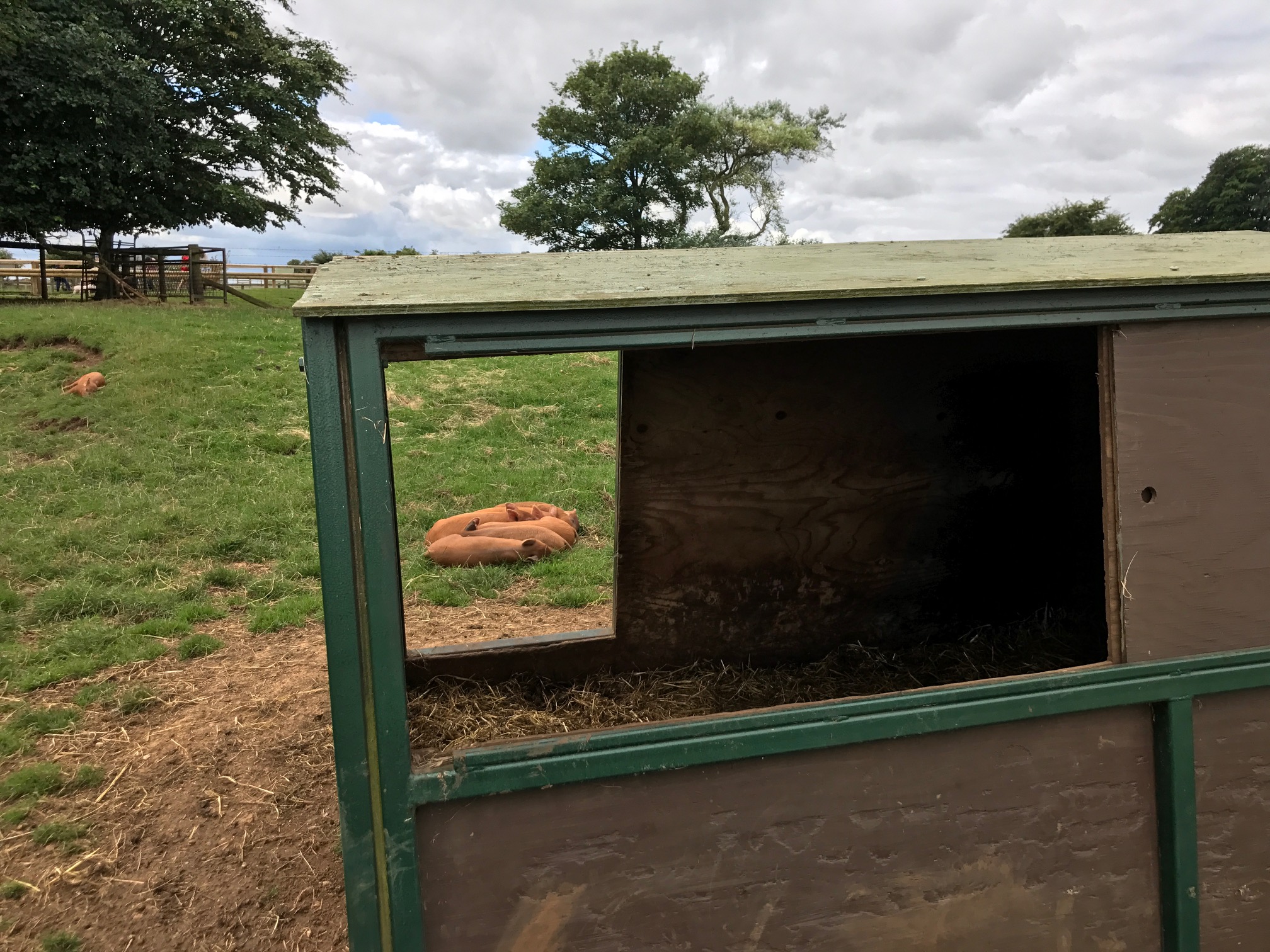 cotswoldfarmparkcotswoldsconciergesummer (14) Cotswolds Concierge