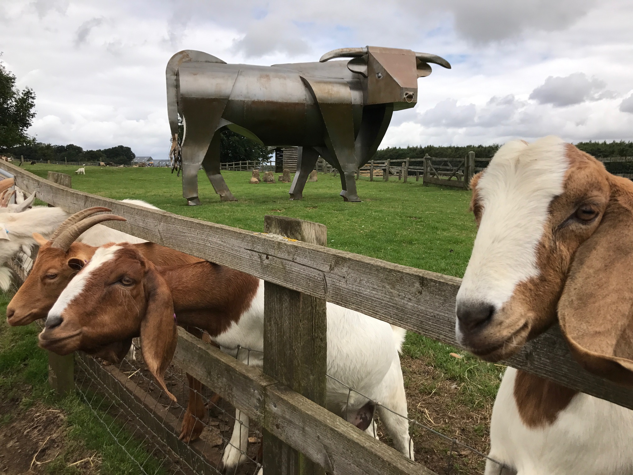 cotswoldfarmparkcotswoldsconciergesummer (5) Cotswolds Concierge