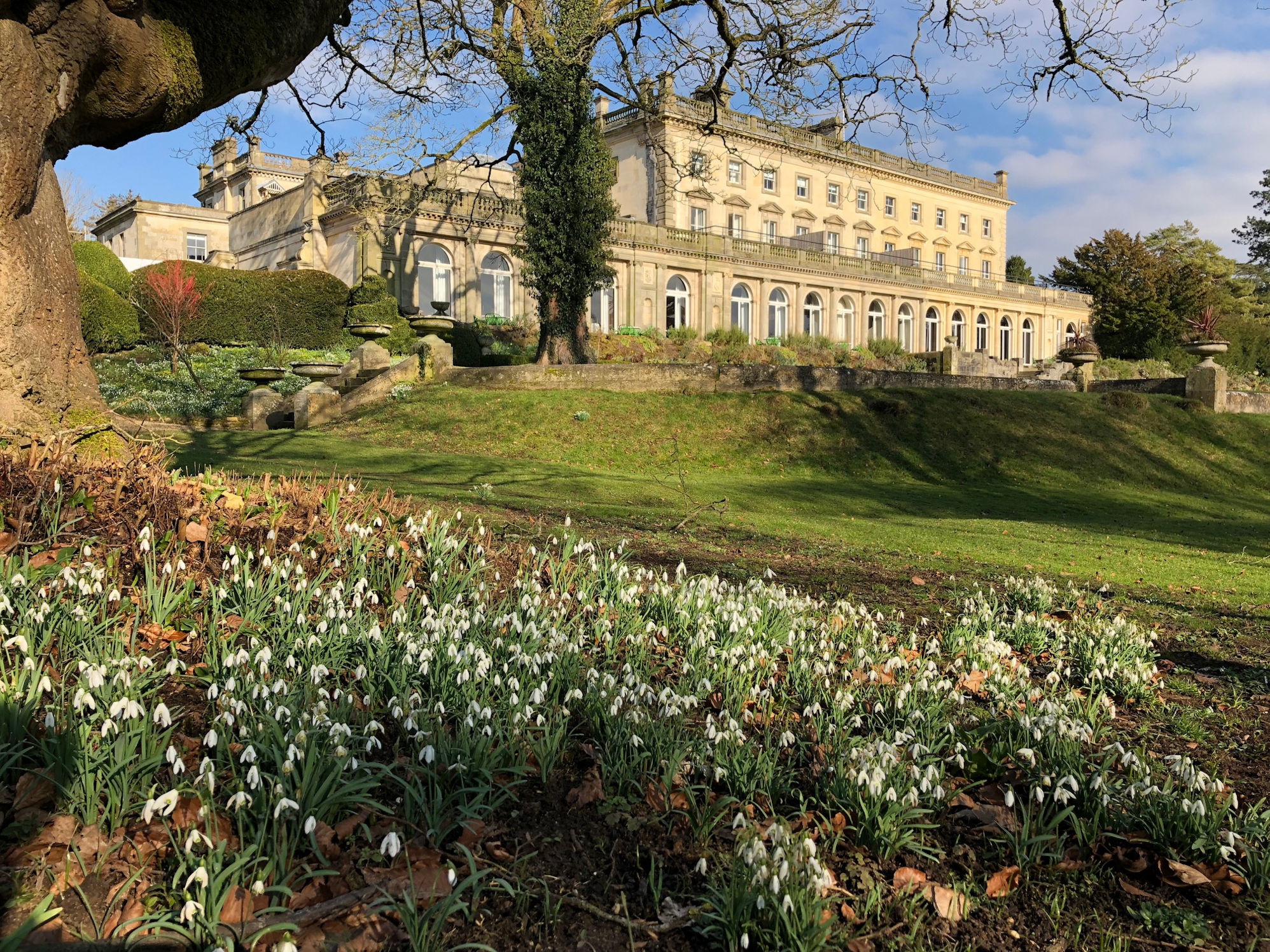 afternoonteacowleymanorcotswoldsconcierge (1) Cotswolds Concierge